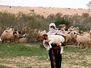 Shepherd with lamb in Negev riverbed, tb q010303